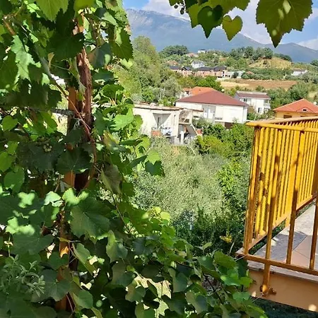 Tirana's Countryside Gem *