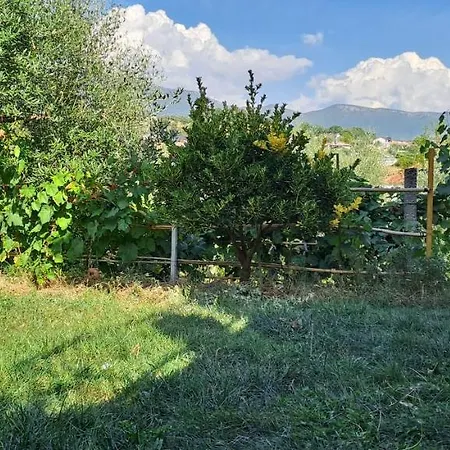 Tirana's Countryside Gem * Tirana